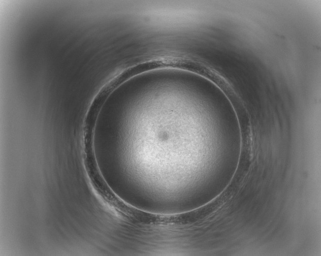 X0000068820730200605081145