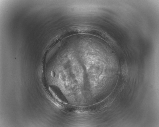 X0000068820733200605081145