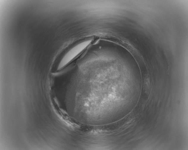 X0000068820734200605081145