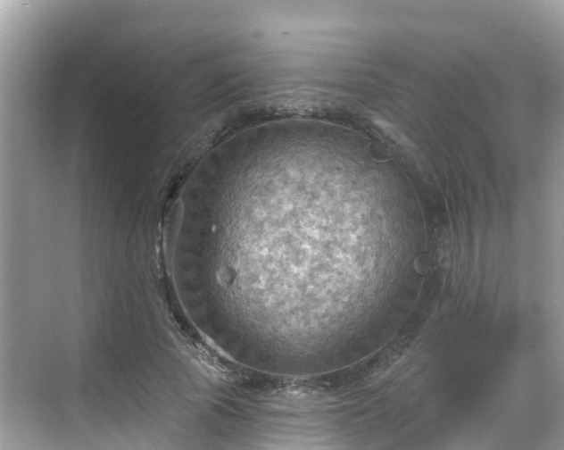 X0000068820737200605081145