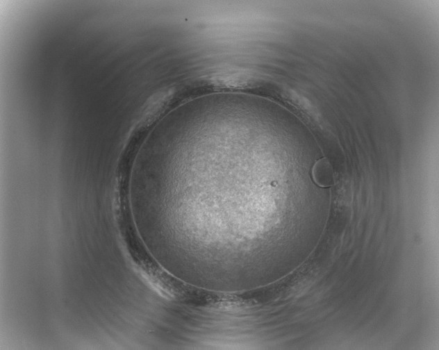 X0000068820738200605081145