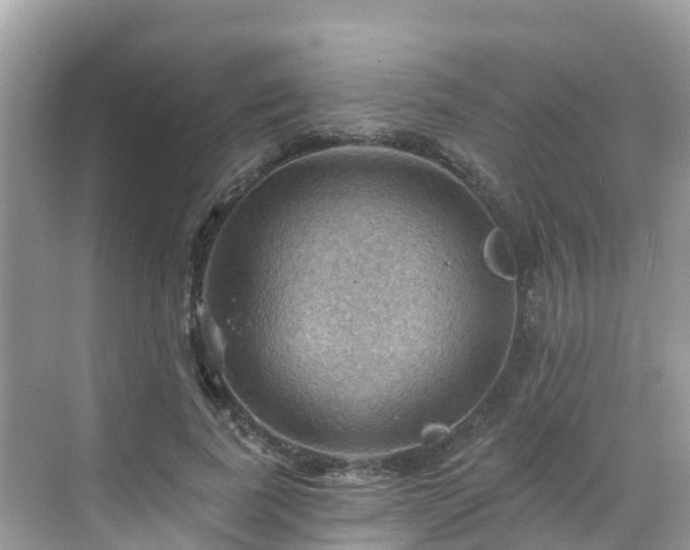 X0000068820739200605081145