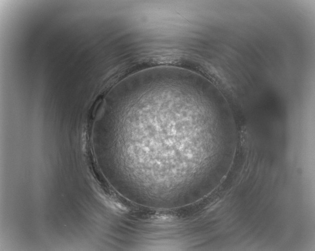 X0000068820741200605081145