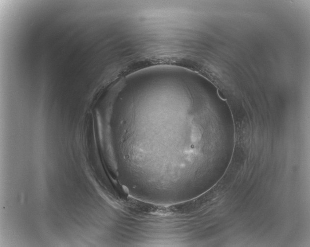 X0000068820742200605081145