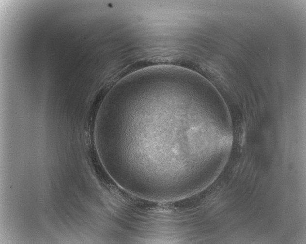 X0000068820743200605081145