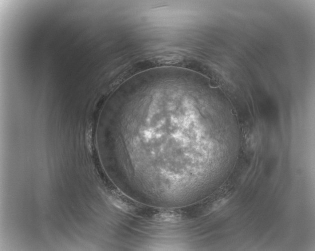 X0000068820745200605081145