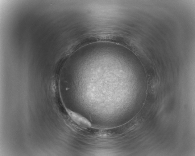 X0000068820746200605081145