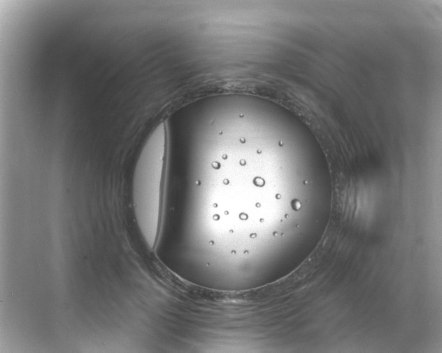 X0000068820748200605081145