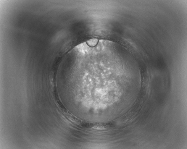 X0000068820749200605081145