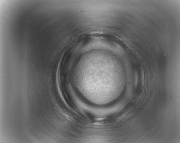 X0000068820750200605081145