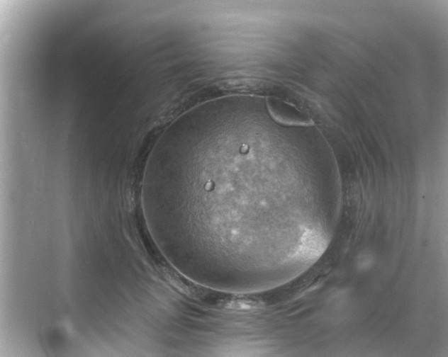 X0000068820751200605081145