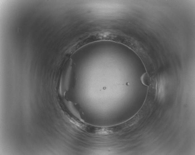 X0000068820754200605081145