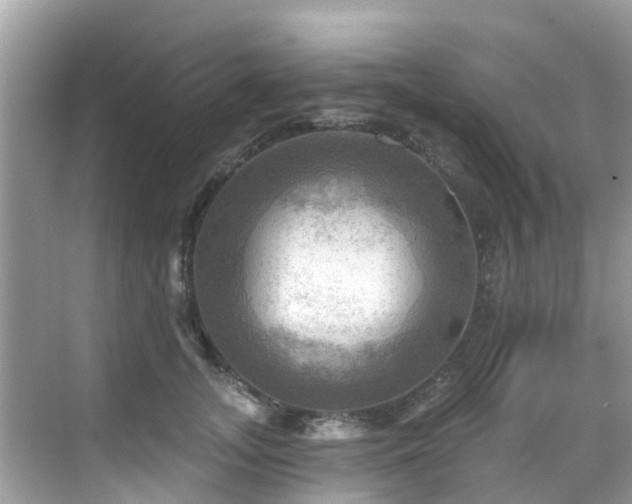 X0000068820755200605081145