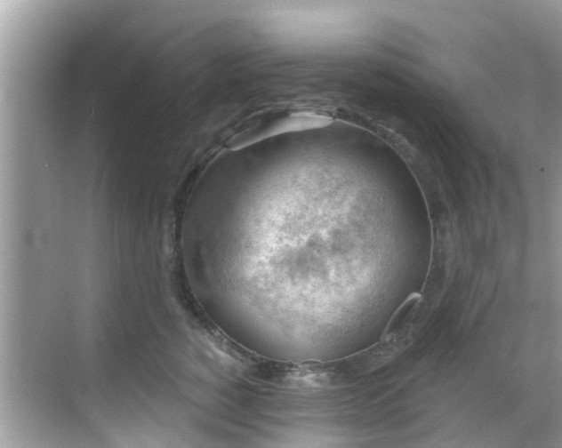 X0000068820760200605081145