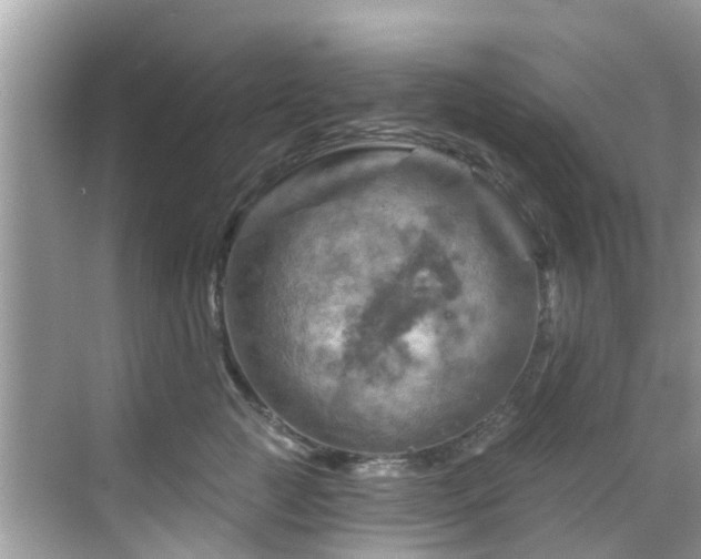 X0000068820761200605081145