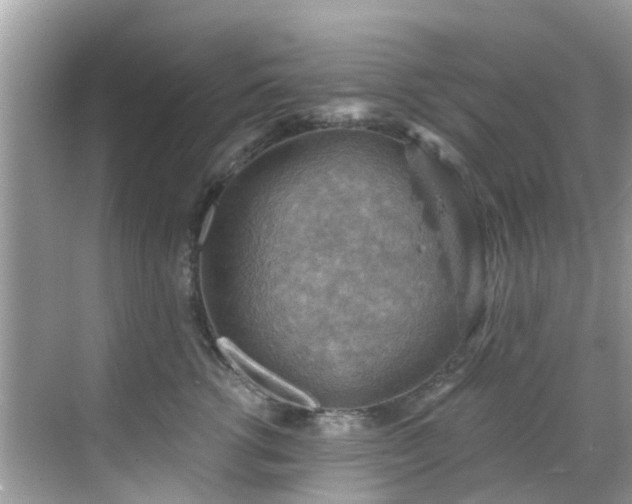 X0000068820762200605081145