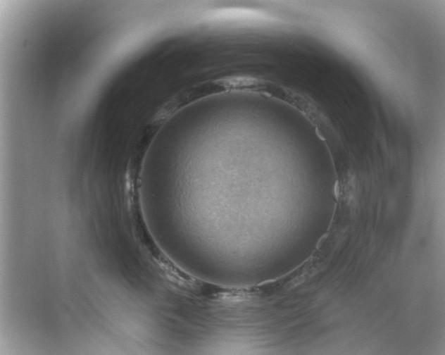 X0000068820763200605081145