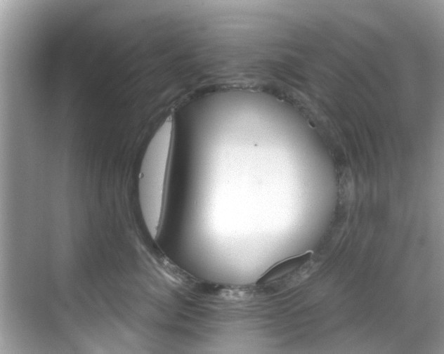 X0000068820764200605081145