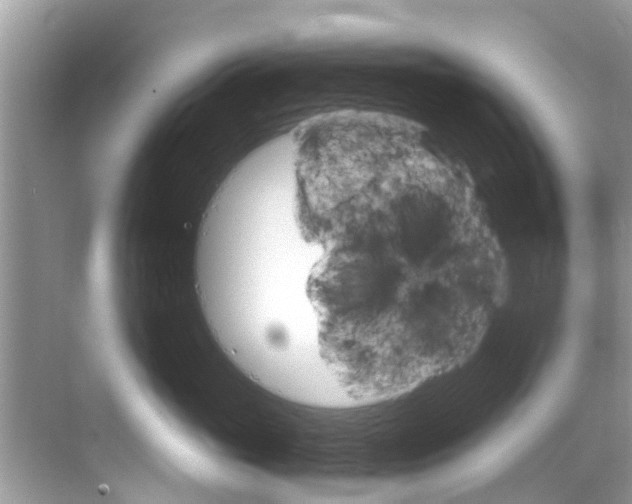 X0000068820765200605081145