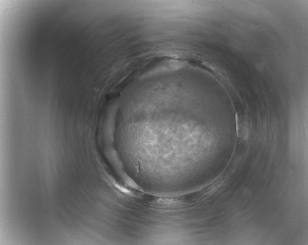 X0000068820766200605081145