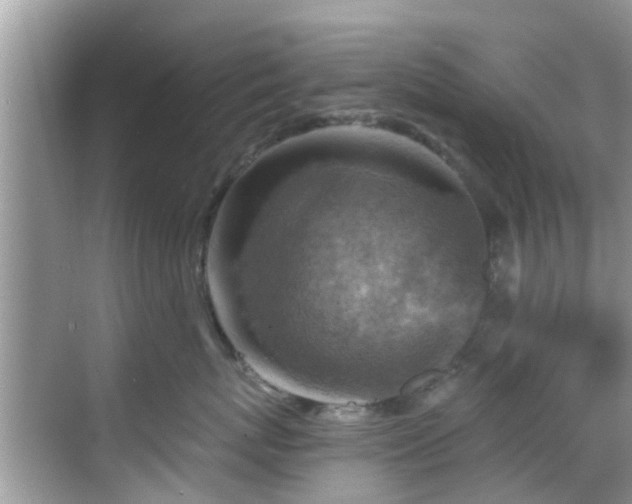 X0000068820767200605081145