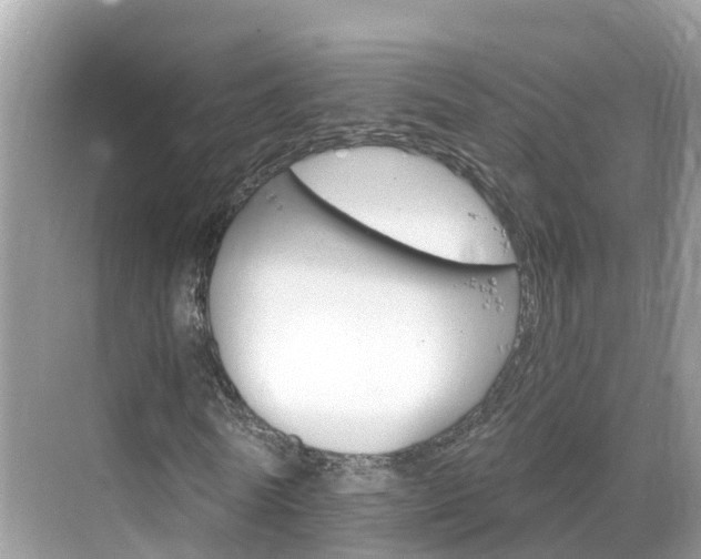 X0000068820770200605081144