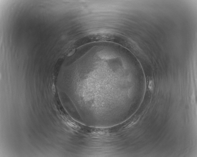 X0000068820771200605081144