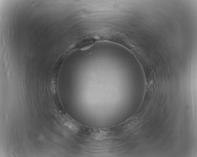 X0000068820772200605081144