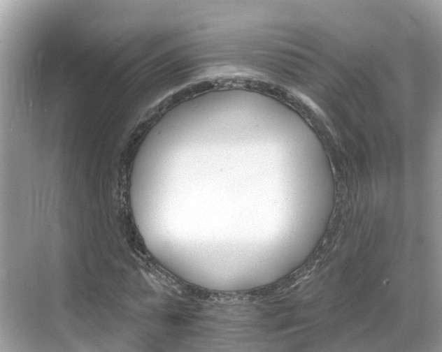 X0000068820775200605081144