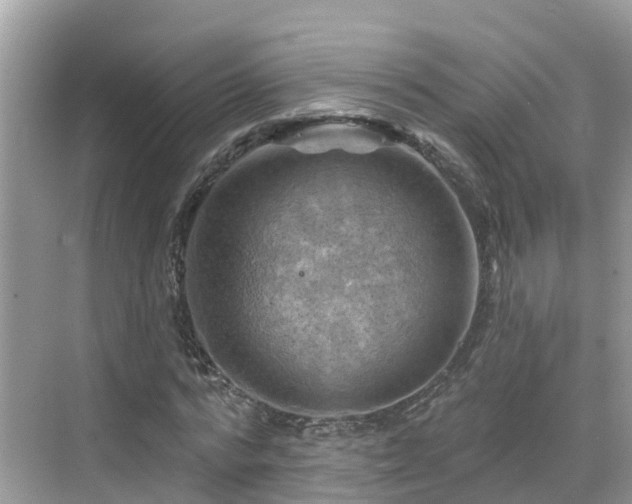 X0000068820776200605081144