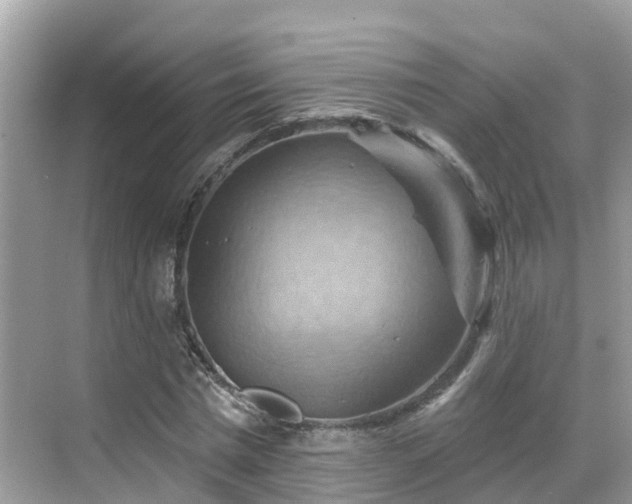 X0000068820777200605081144