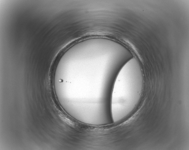 X0000068820779200605081144