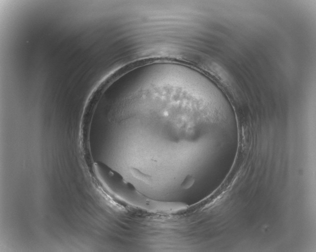 X0000068820780200605081144