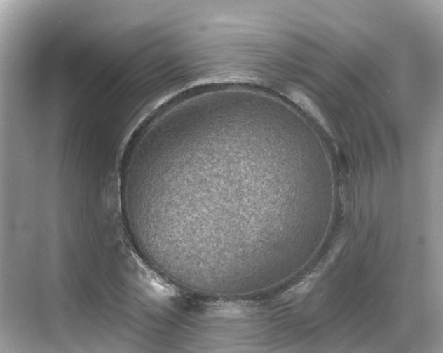 X0000068820781200605081144