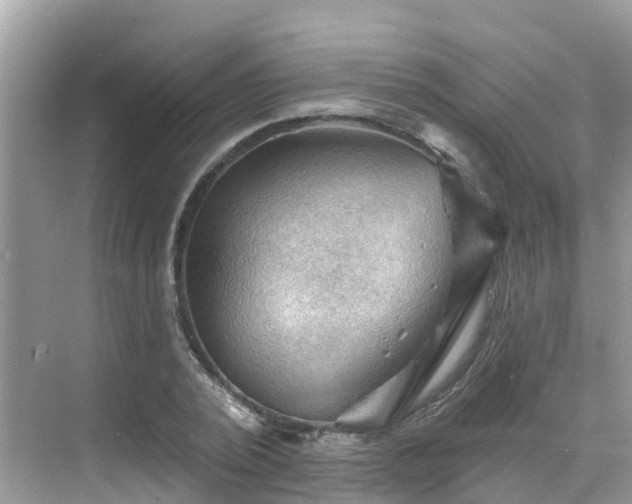 X0000068820784200605081144