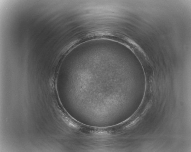 X0000068820785200605081144