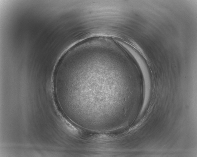 X0000068820787200605081144