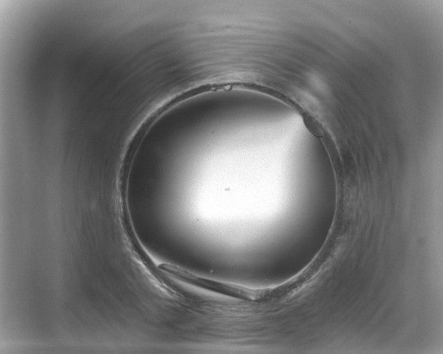 X0000068820789200605081144