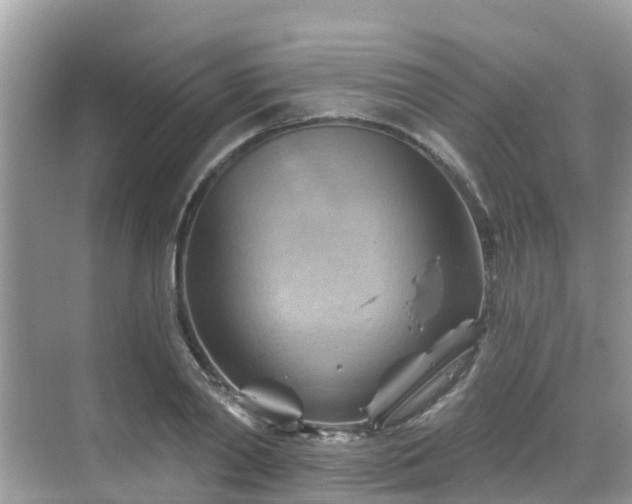 X0000068820790200605081144