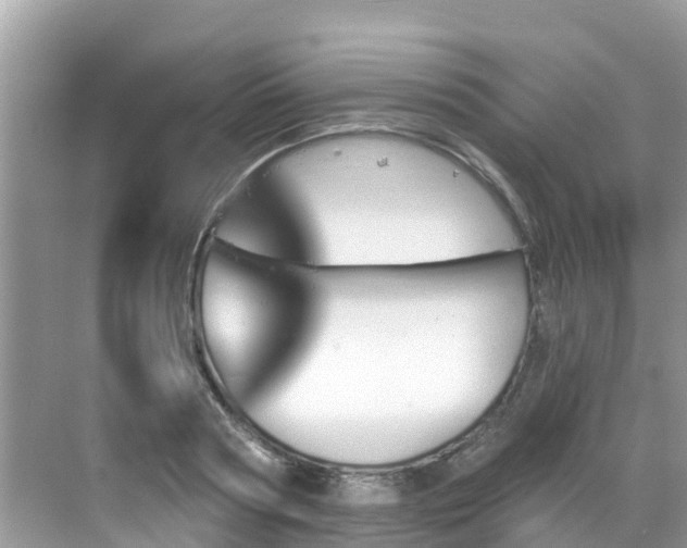 X0000068820794200605081144