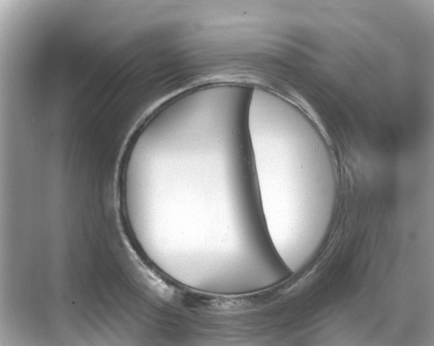 X0000068820795200605081144