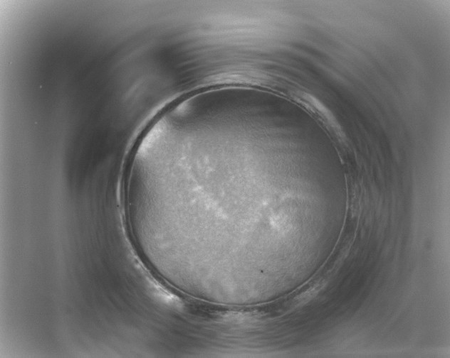 X0000068820796200605081144