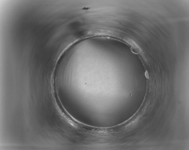 X0000068820798200605081144