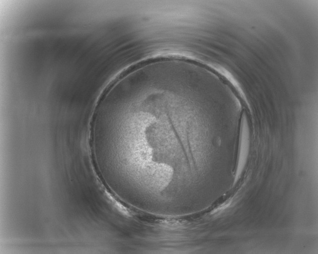 X0000068820799200605081144