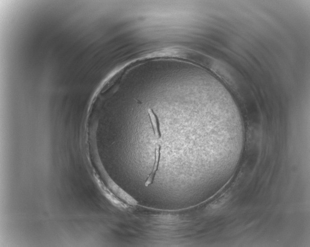 X0000068820800200605081144