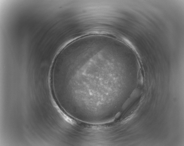 X0000068820803200605081144