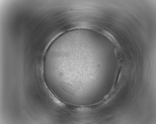 X0000068820804200605081144