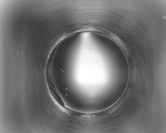 X0000068820805200605081144