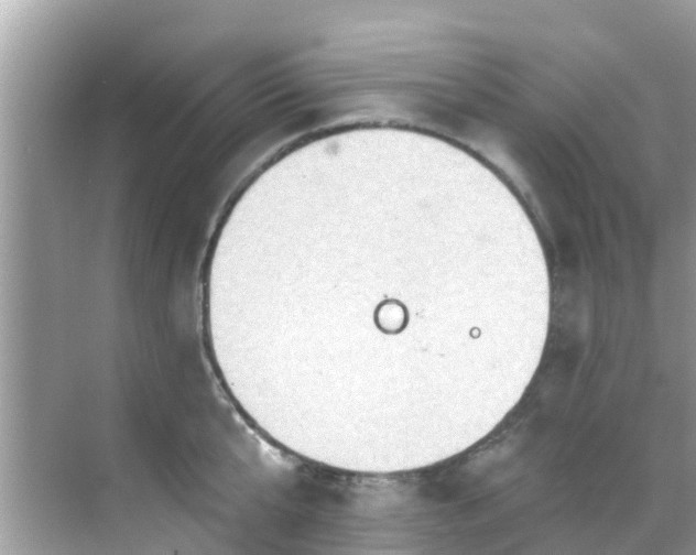 X0000068820807200605081144