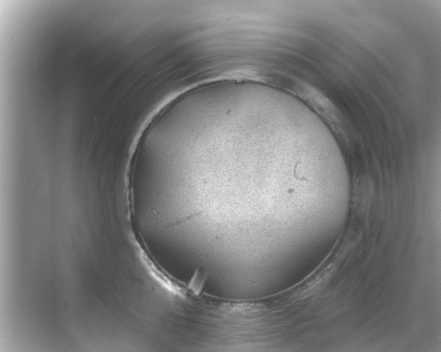 X0000068820808200605081144